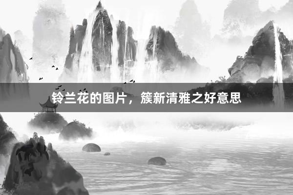 铃兰花的图片，簇新清雅之好意思