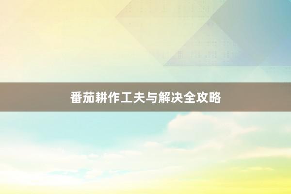 番茄耕作工夫与解决全攻略