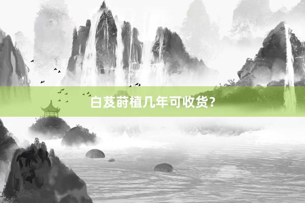 白芨莳植几年可收货？