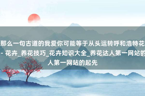 那么一句古道的我爱你可能等于从头运转呼和浩特花卉网 - 花卉_养花技巧_花卉知识大全_养花达人第一网站的起先